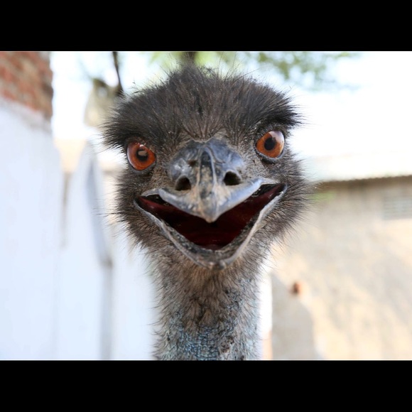 Meet your Posher, Jason - Picture 1 of 1